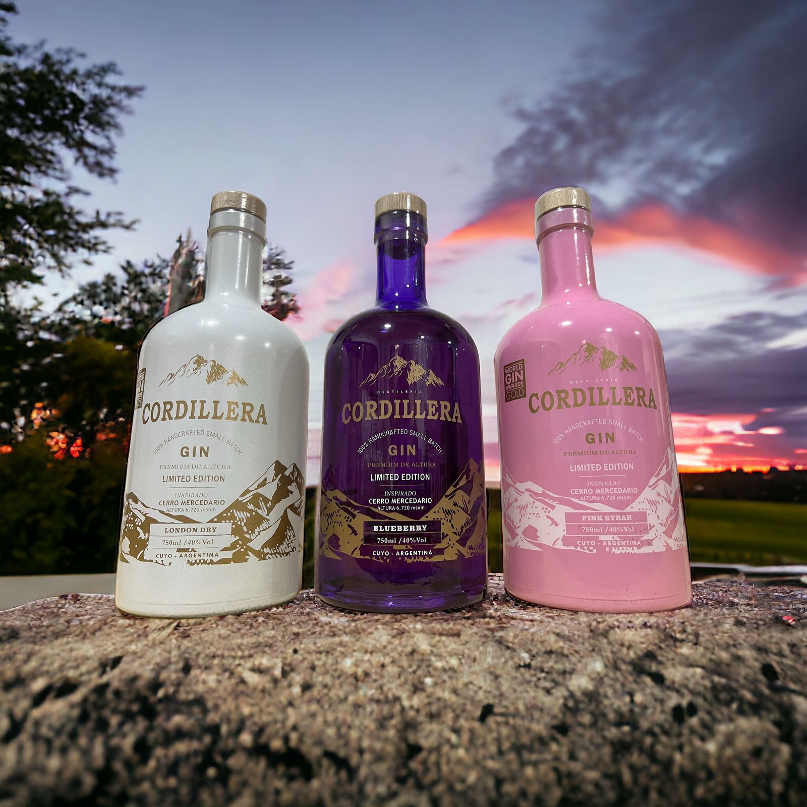 Gin Cordillera